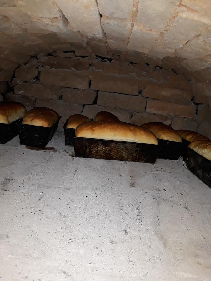 Pensiunea Casa Godja Văleni Eksteriør bilde