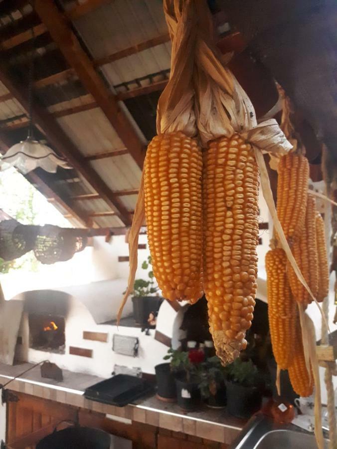 Pensiunea Casa Godja Văleni Eksteriør bilde